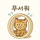 라라캣 | 내돈내산 모든펫 무소음 라라 캣휠: 비싼 고양이 캣휠, 운동 말고 &#39;이것&#39; 때문에 후회 없다!