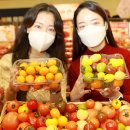 스위텔 이미지