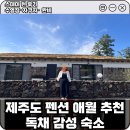 강천산 강노을펜션 | 제주도 펜션 애월 추천 독채 감성 숙소 / 스테이 현 후기 수영장·자쿠자· 완비