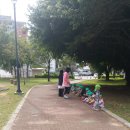 (유)아이렌트카 이미지