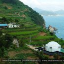 돔하우스민박 이미지