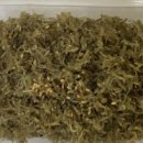 국수나무 부산만덕점 이미지