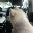 그루밍 모먼트 이미지