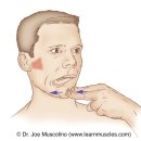 서창제일의원 이미지