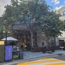 더 체어(The Chair) | [양재천카페]☕ 도곡동 더체어(The Chair)｜카페에서 느낀 하루의 여유☕