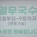 하길 영희네 네이버블로그