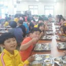 신토불이 축산물
