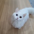 베테랑P&K 이미지