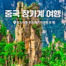 서정화원 | 중국 장가계 여행 효도 패키지여행 부용진 홍석림