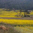 전라남도 선정 ‘가고 싶은 섬’ 이미지