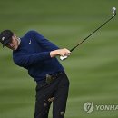 이글우드 이미지