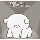 유봉해물찜 이미지