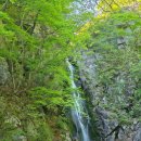 세븐일레븐 영주소백산점 | 경북영주 5월의 연두빛 설렘 소백산 희방폭포와 희방사 다녀온 후기