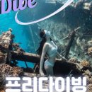 쏭다올 이미지