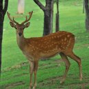 서울숲 숲속놀이터 화장실 이미지