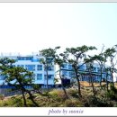 구룡포침구 이미지