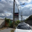 마이독 | &lt;광주 애견카페&gt; 중•대형견 운동장이 구비된 신상 애견카페 ‘마이힙독’ 🕶️/ 내돈내산후기