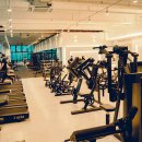 디클리셰 피트니스 이미지