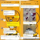 멤버쉽 | 인천공항 독독 내돈내산 강아지 반려견 호텔링 10번째 SUITE ROOM 멤버쉽 후기