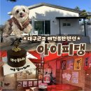 아이피댕