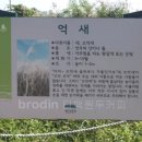 우리유황온천 이미지