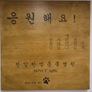 한양한방동물병원 | 인천 &amp;한양한방동물병원&amp; 강아지 디스크 치료 추천