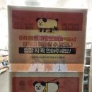 온힐펫 | 석남점 온힐펫