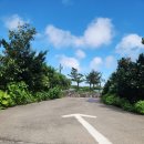 제주더힐링하우스 이미지