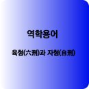 육&육