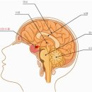 서울메디 이미지