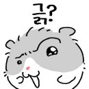하남철 헤어