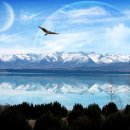 늘처음처럼 이미지