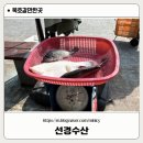 묵호수산 | [묵호항 성경수산] 묵호 회포장 추천 솔직 후기