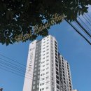 옥포로(아주동) | 거제 토박이 이던스테이 직원이 소개하는 거제 로컬 내돈내산 찐 맛집 추천 [굴구이, 굴국밥, 두루치기...