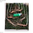 농업회사법인 자연이랑 주식회사 이미지