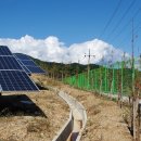 제일 태양광발전소 이미지