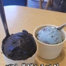 베라 블랙소르베 맛 성분 베스킨라빈스 오징어먹물 아이스크림 맛보기 후 선택 내돈내산 후기