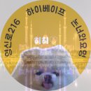 당산 대용량 전자담배 하이베이프