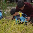 송해초등학교 이미지