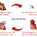 기경한약국 이미지