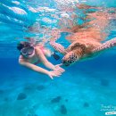 제주 휴리조트1 | 필리핀 보홀 여행 4인 가족 숙소 시원리조트 비용 노스젠 선셋투어