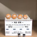 노른자케이스 이미지
