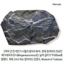 장수 생명체의 비결, ‘시작이 좋아야 좋다’ 이미지