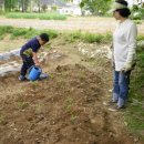 호매실초등학교 이미지