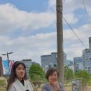 청명헌