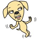 젠틀펫 이미지