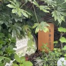 CU 석남우리점 | 휴양지 느낌 솔솔 독채펜션 오늘스테이 인천 석남 에어비엔비 추천🏖