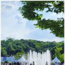 라푼젤카페9 | 북서울 꿈의 숲, 라푼젤 뮤지컬 보고 물놀이까지 알차게 즐긴 주말 나들이