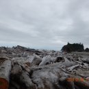 투어어드바이저(주) 이미지