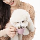 착한PC카페 이미지